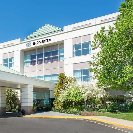 Sonesta Hamilton Park Hotel & Conference Center Florham Park Eksteriør billede